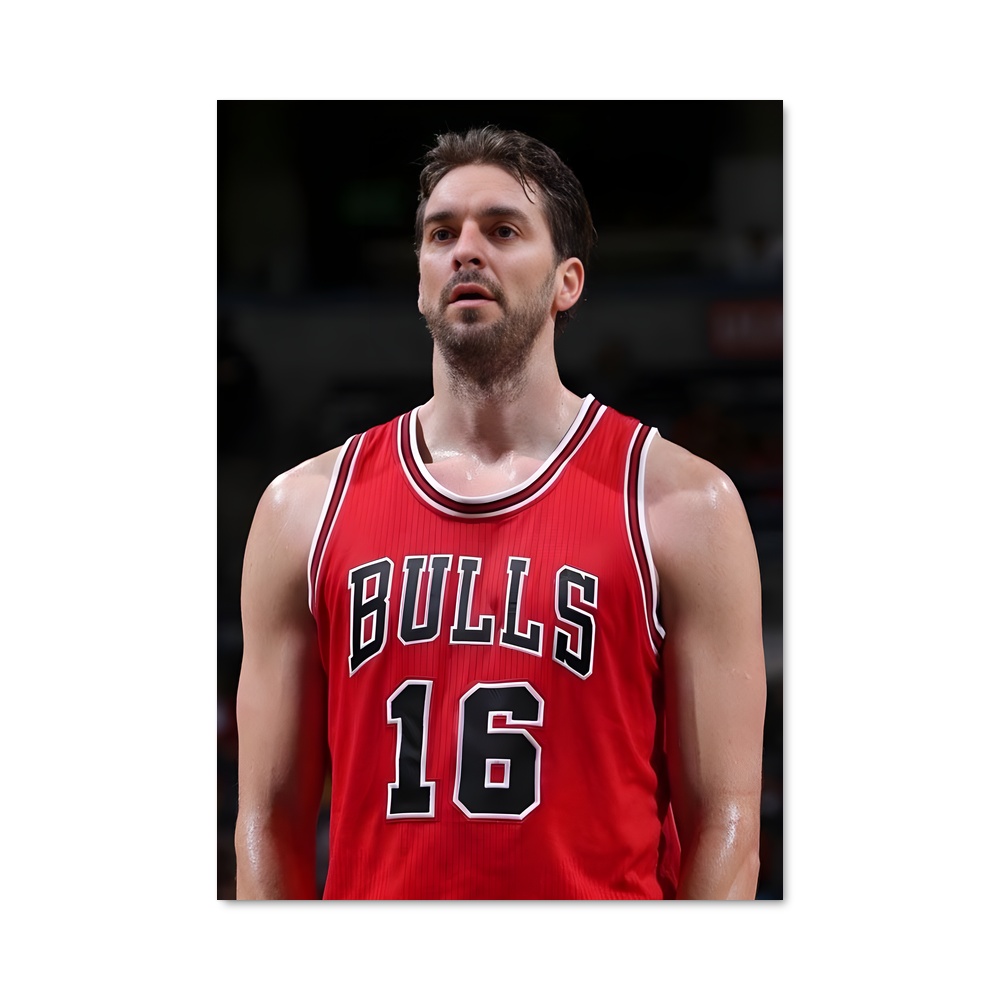 Poster Pau de gasol